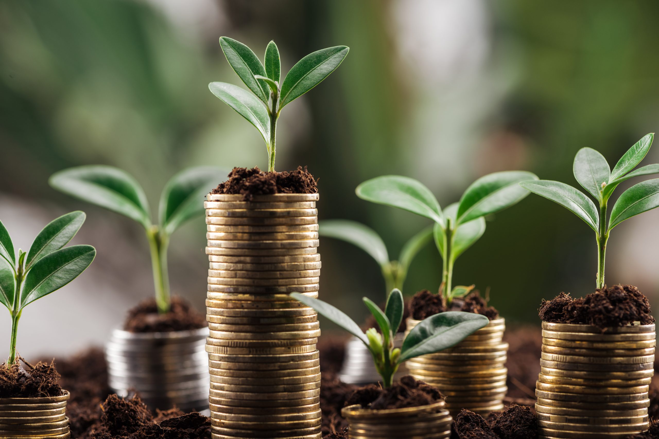 Inversión en medio ambiente